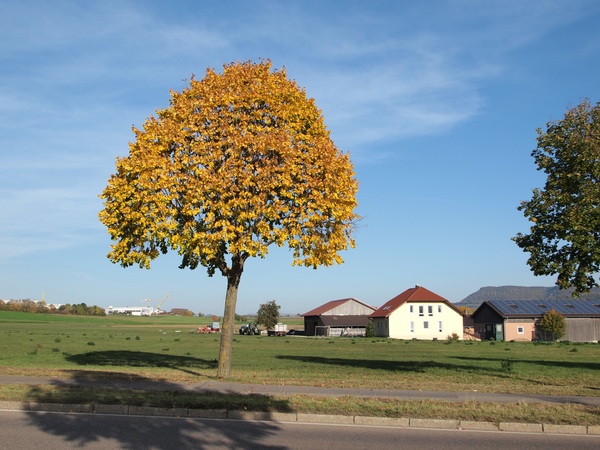 Bild Nr. 11